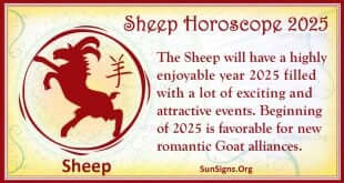 sheep 2025