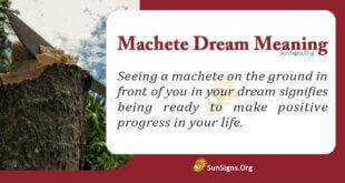 Machete Dream Meaning