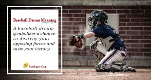baseball dream meaning