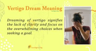 Vertigo Dream Meaning