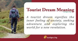 Tourist Dream Meaning